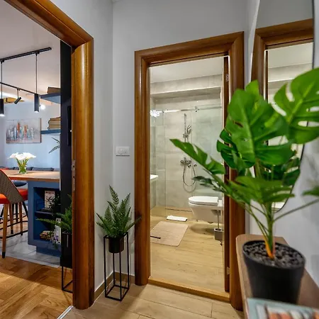 Erak Hill * 兹拉蒂博尔