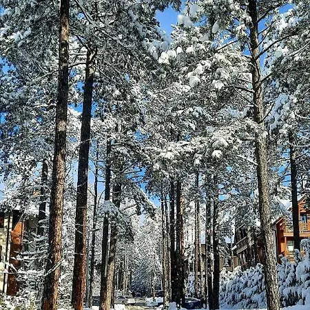 Erak Hill * Zlatibor