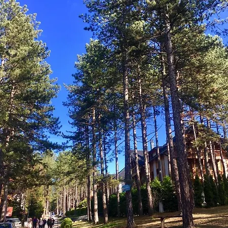 Erak Hill Appartement Zlatibor