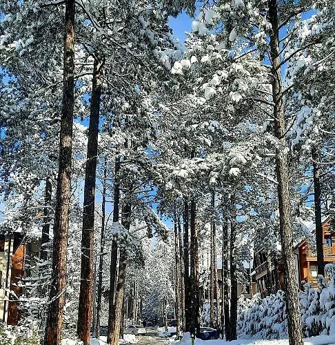 Erak Hill * ズラティボール