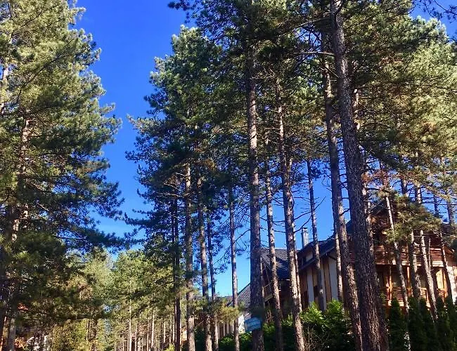 Erak Hill アパート ズラティボール