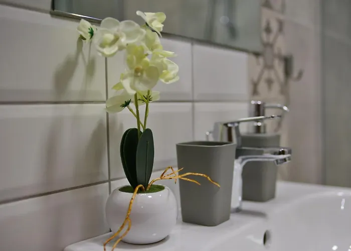 Erak Hill ズラティボール